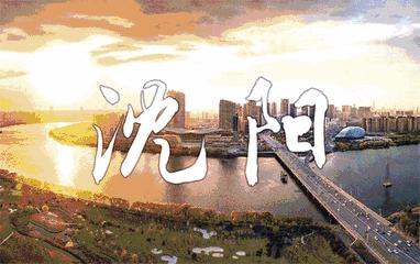 我爱沈阳原唱完整版,我爱沈阳是什么梗