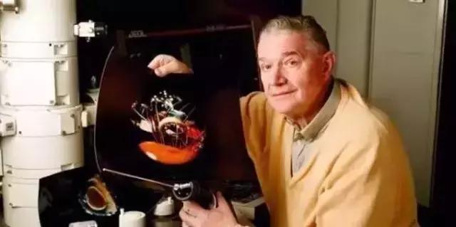 人类精子是怎么诞生的,人类进化史从精子到胎儿