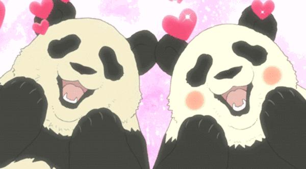 国庆嗨玩！厦门最潮动物园打卡新地标！解锁潮玩新姿势！