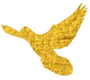 今天人民日报头版,人民日报评论晋江