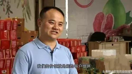 鲜丰水果创始人韩树人老家,鲜丰水果创始人韩树人哪里人