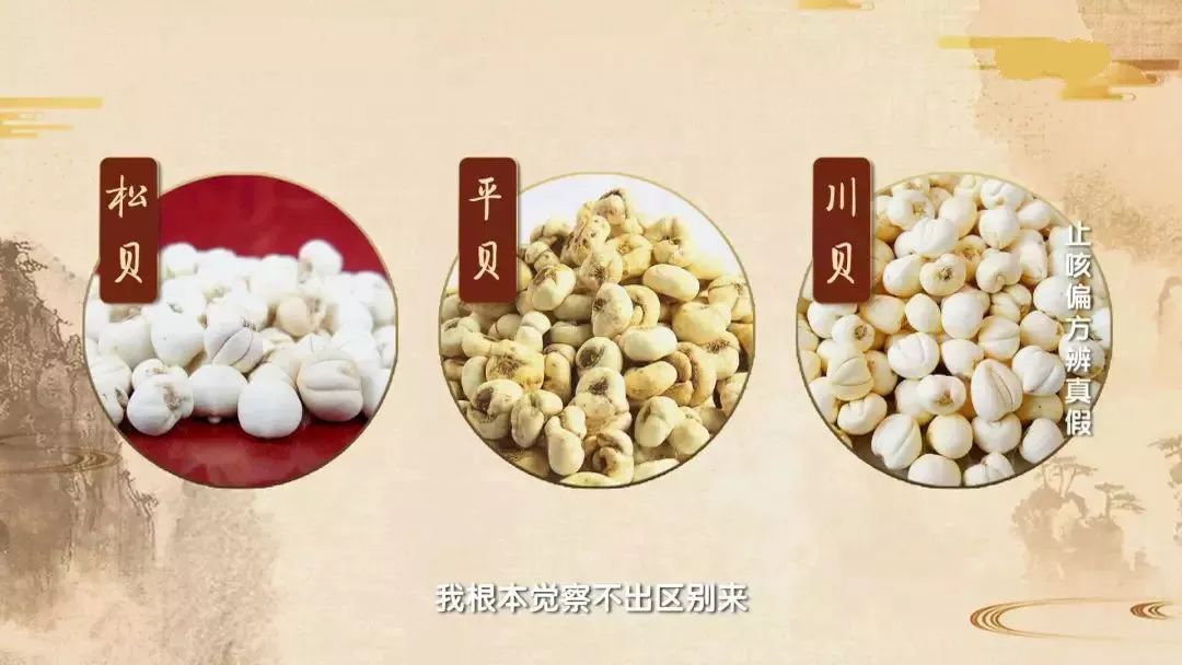 健康养生治咳嗽,麦冬治咳嗽的小偏方