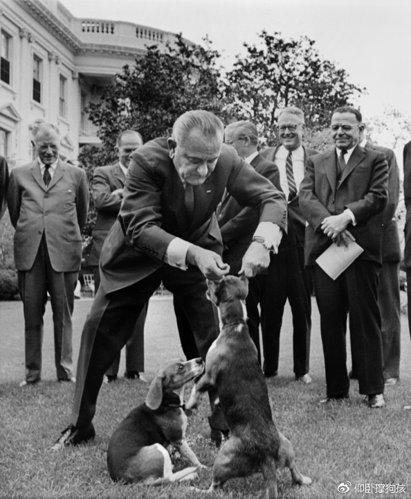 历史上三位总统没有养宠物,美国历史上46个总统