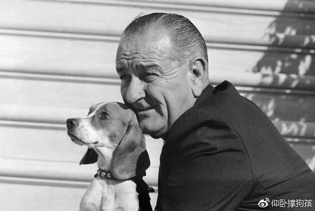 历史上三位总统没有养宠物,美国历史上46个总统