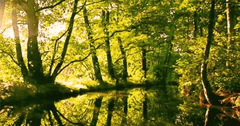 自带磨皮的拍照技巧,网红拍照怎么高清又磨皮