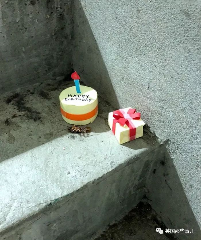 在卧室里发现一只死蟑螂,卧室发现一只死蟑螂