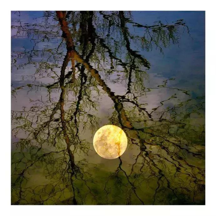 8首经典的月亮诗词,咏月最好的十首诗