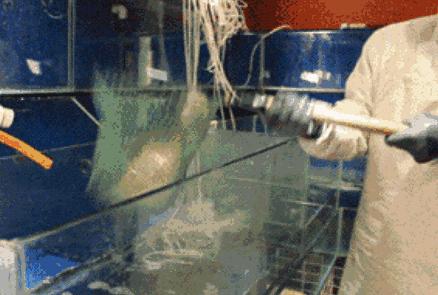 淮北相山鱼火锅哪家好吃,淮北哪家店的火锅最好吃