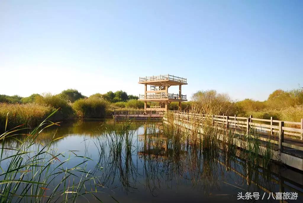 山东今年国庆旅游政策,国庆节黄金大优惠活动