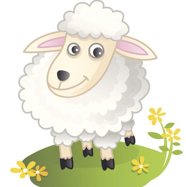 鸡年出生时辰哪个时辰好,人出生的时辰和死的时辰