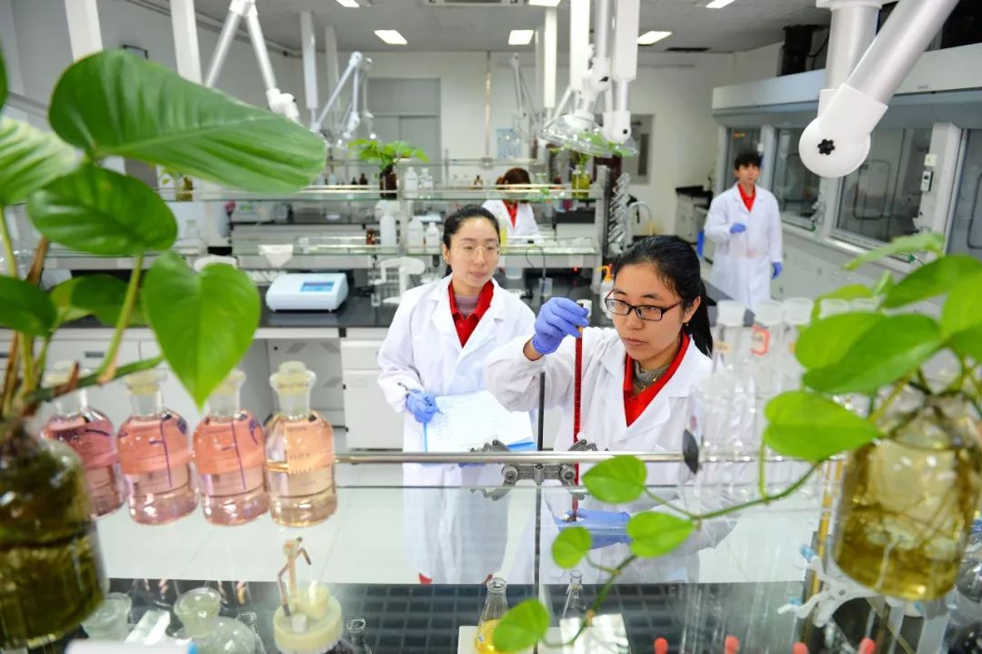 2024胜利油田内部招工,胜利油田招聘待遇