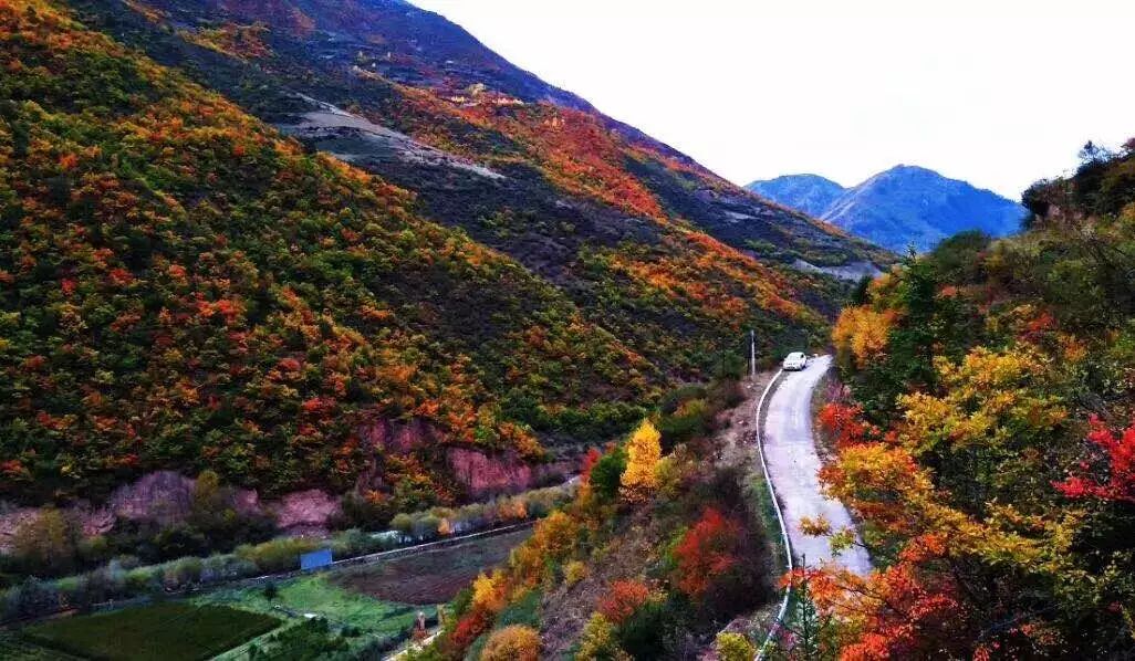 甘南秋天,甘南州的秋天