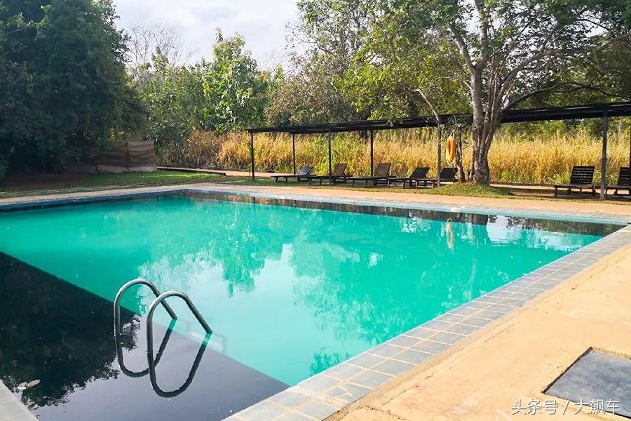 开学“B计划”之，印象斯里兰卡（一）！