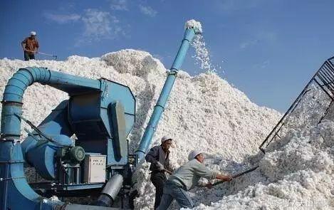 2022年籽棉目前价格,南北疆籽棉收购价格表