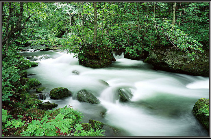 正能量句子励志人生感悟,鼓励年轻人的正能量句子