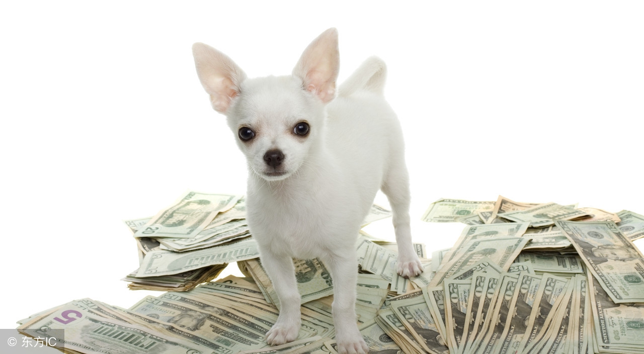 做你真正想做的事,真正感兴趣的事才能做得好