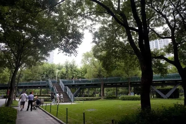 上海浦东新区旅游攻略自由行,上海苏州杭州嘉兴乌镇旅游攻略