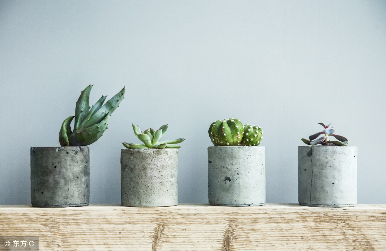 你了解助产吗,你以为月子的样子和实际上的样子