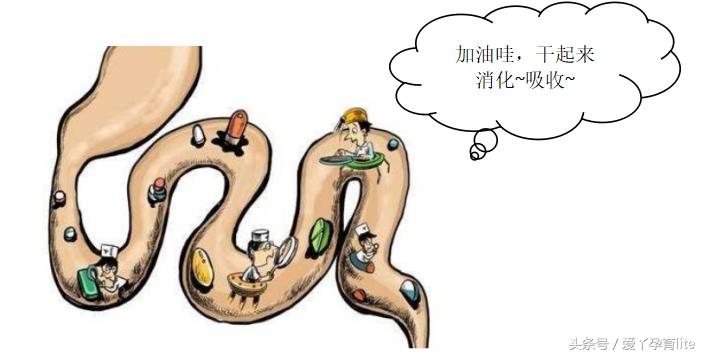 坐拥500吨美钞的发哥，拉的屎是不是金光闪闪的？