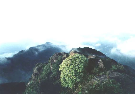 国庆假期一定别去这十个地方,国庆假期最不适合去哪里玩