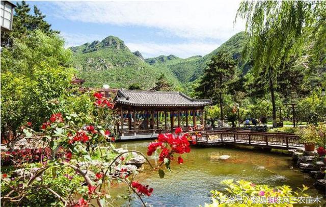 北京龙庆峡民宿,北京龙庆峡民宿第一名