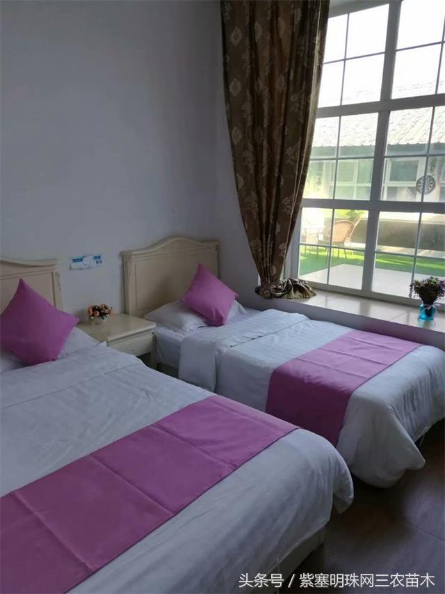 北京龙庆峡民宿,北京龙庆峡民宿第一名