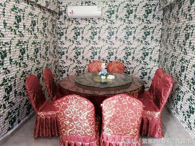 北京龙庆峡民宿,北京龙庆峡民宿第一名