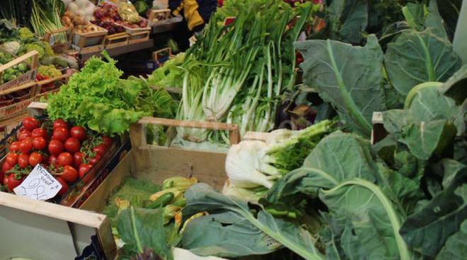 在意大利留学真实情况,在意大利留学生活