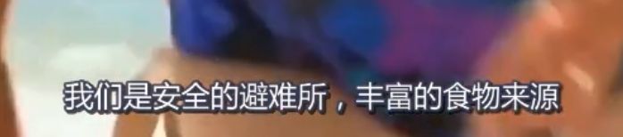 吃活物有寄生虫,吃活的虫子身体里有寄生虫