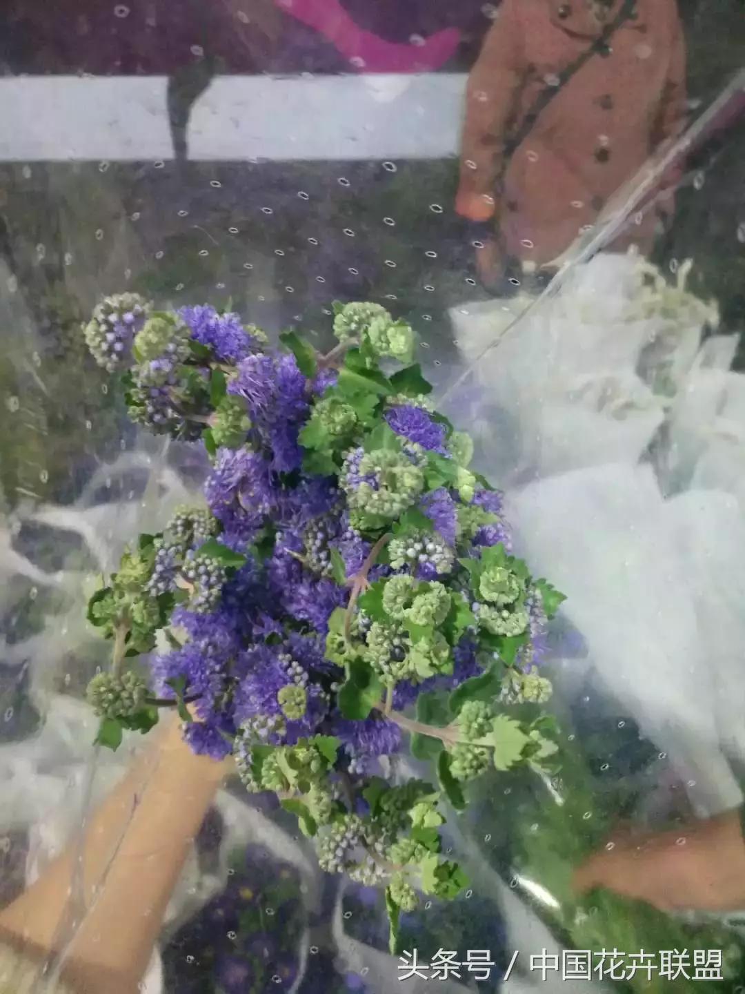 2020年9月份花价走势,花价格行情