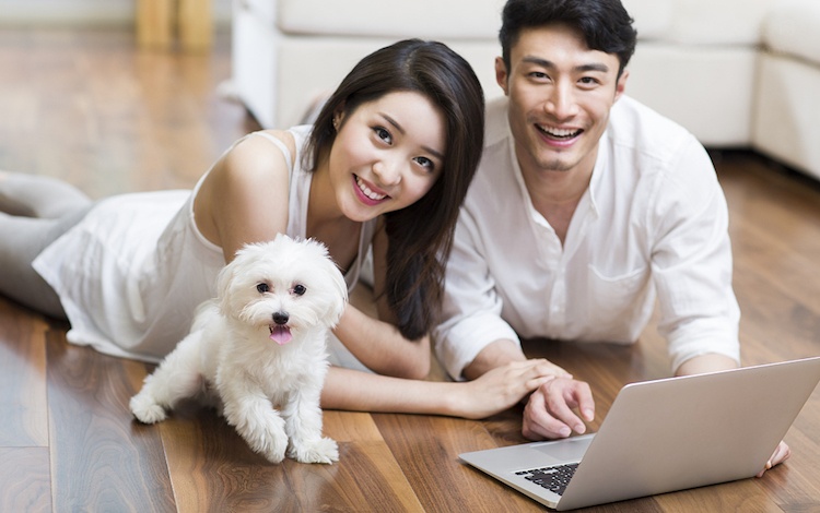 老公在家养狗我不喜欢怎么办,老公不喜欢狗怎么养