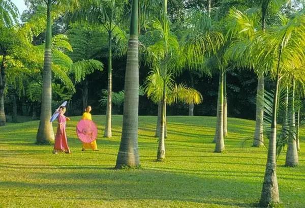 国庆云南周边旅游景点推荐,国庆去云南旅游景点有哪些要求