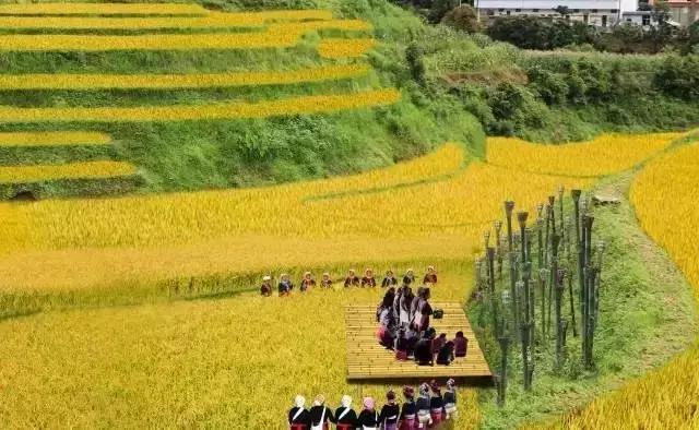 国庆云南周边旅游景点推荐,国庆去云南旅游景点有哪些要求