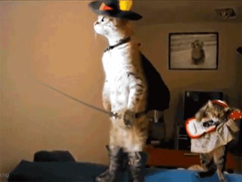 晨看*疆新**｜城乡最低生活保障水平再涨；百辆纯电动出租车乌市上路