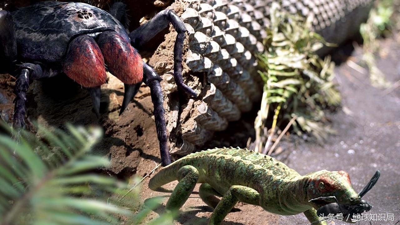 地球上最可怕的虫子,世界上最可怕的而且最厉害的虫子