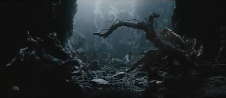 地球上最可怕的虫子,世界上最可怕的而且最厉害的虫子