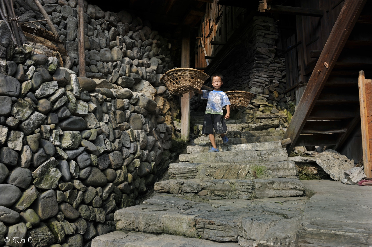 家里来三种动物预示什么,家中出现哪些动物一定要警惕