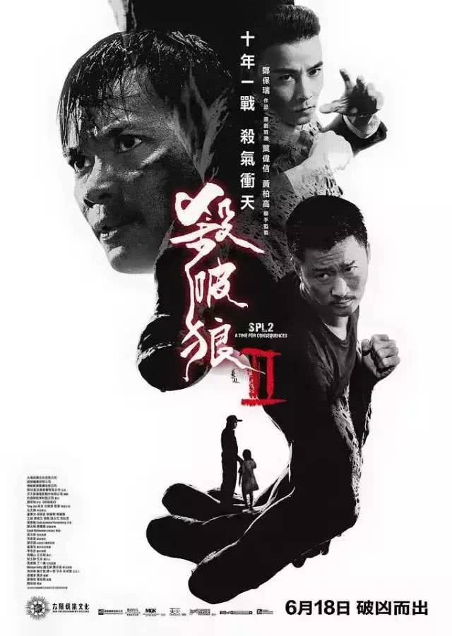 彭于晏和甄子丹合作的电影,彭于晏甄子丹对打电影