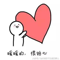 公交新线路开通视频,公交新开通2条城乡公交线路