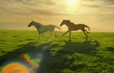 周末带娃好去处儿童运动馆朋友圈,假期带孩子户外运动好去处