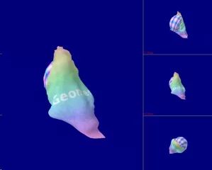 电影中蕴含的数学知识,电影背后藏着哪些秘密