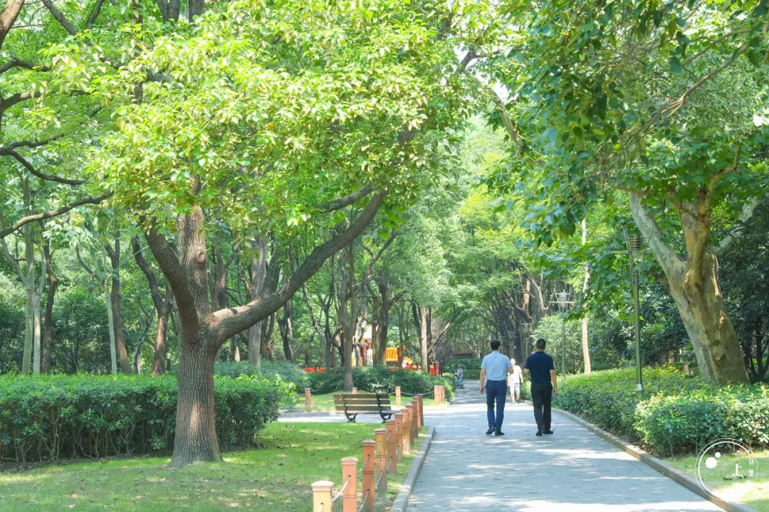 上海徐家汇有必要逛吗,上海人逛的商圈