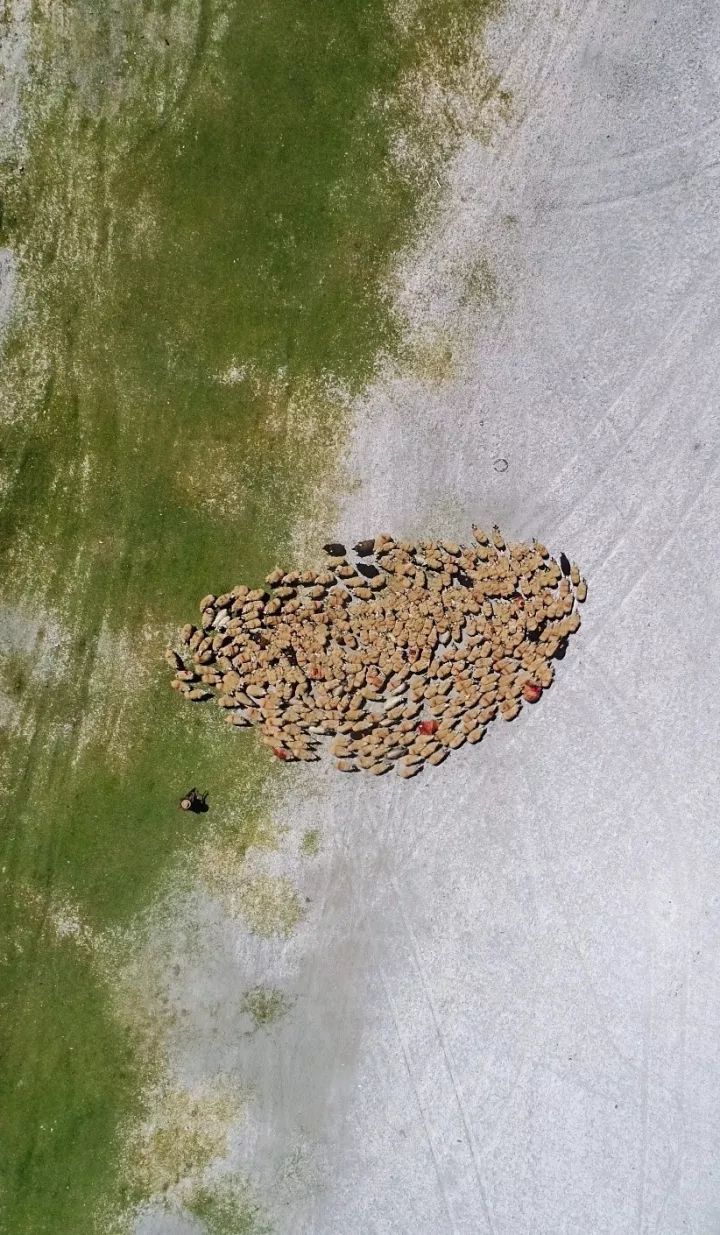 什么是中国传统文化,什么是中国文化