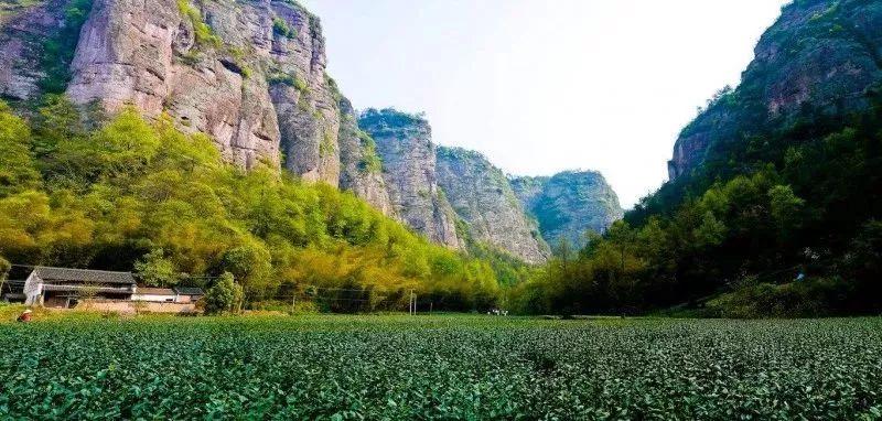 国庆小长假,绍兴这里的美丽乡村,邀您去体验村居生活的趣味与多彩