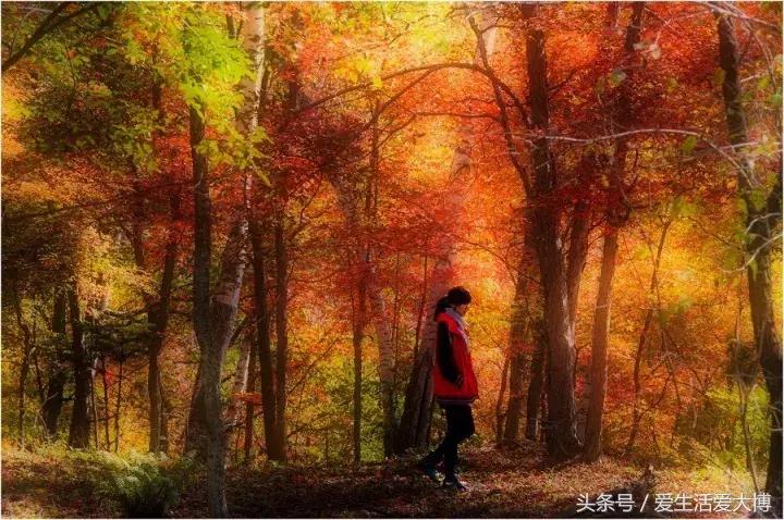 这个假期很美,这个假期的好去处