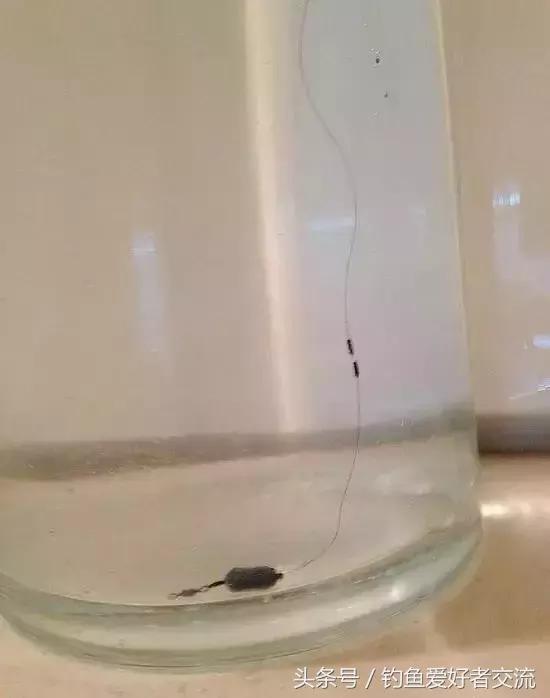 漂脚夹铅钓法与调漂方法,漂脚裹铅怎么调漂