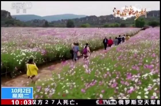 央视昆明风景,央视新闻石林