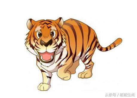 生肖猪和这三个属相在一起最吃亏,12生肖猪最听哪个生肖的话