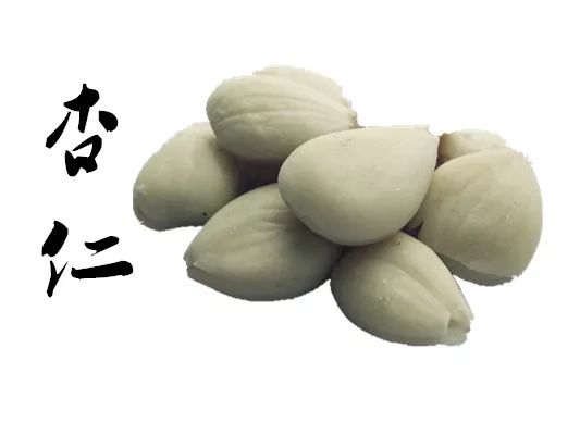 话说补土｜宣肺止咳平喘——杏仁