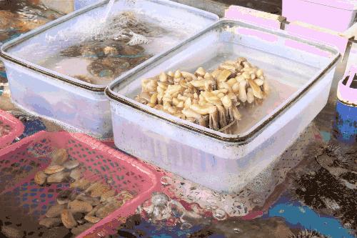 三亚火车头万人海鲜广场哪家好吃,在三亚3000元一桌的海鲜大餐